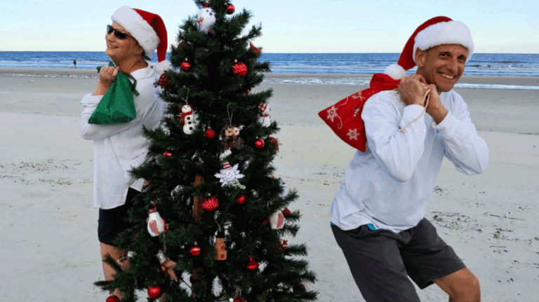 Tree on the beach handing out candy